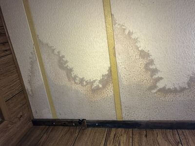 Professional water damage restoration services in Seattle - SurgeNest Crew